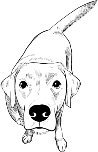 Frühstarter